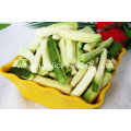 Crispy Vacuum Fried Vegetables Vf Green Radish Sticks